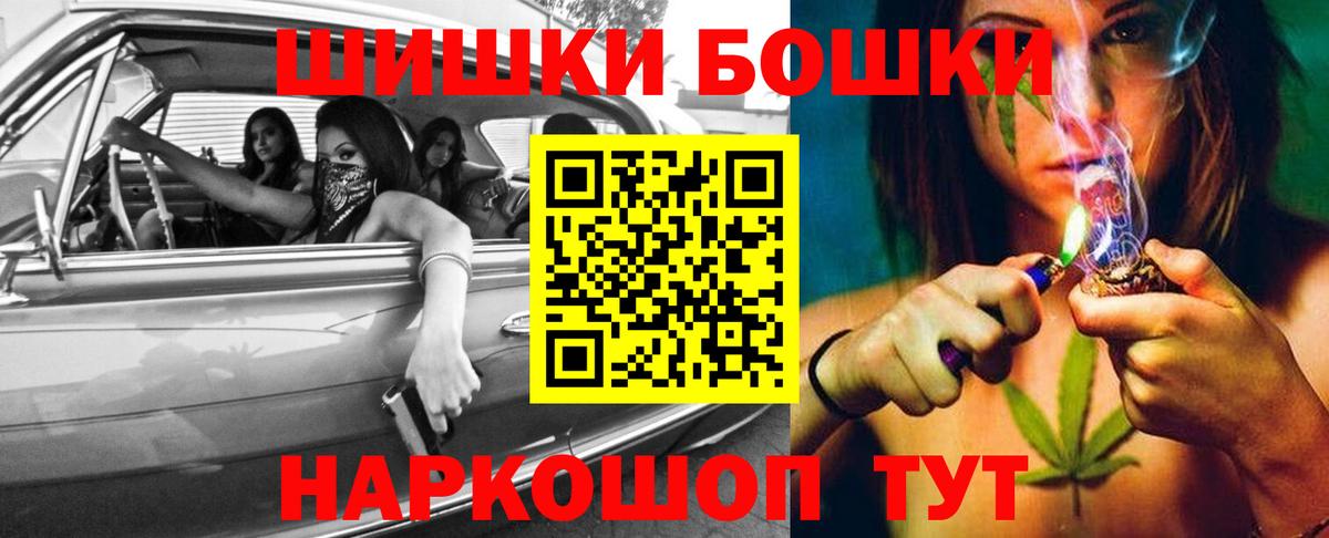 Каннабис сатива Зима